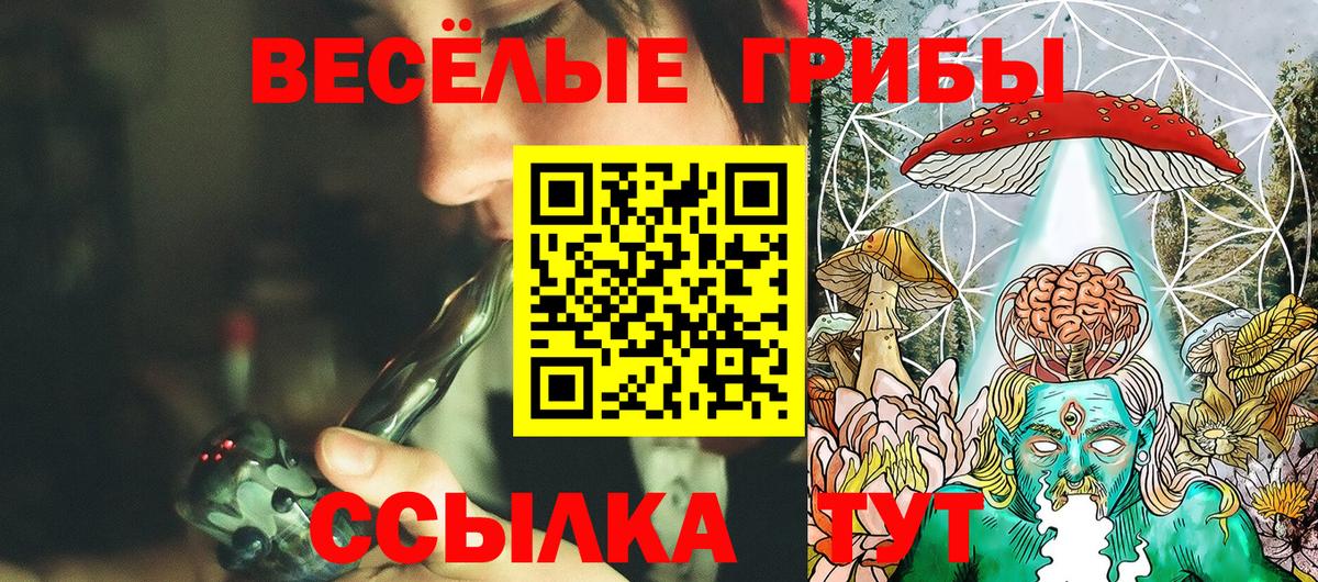 Псилоцибиновые грибы прущие грибы Ахтубинск